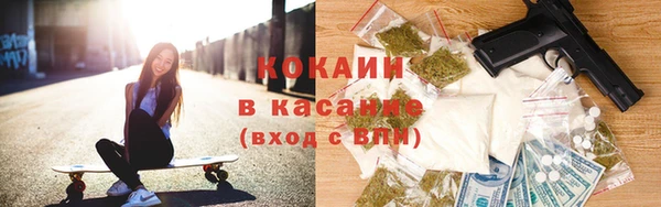 соль ск Алексин